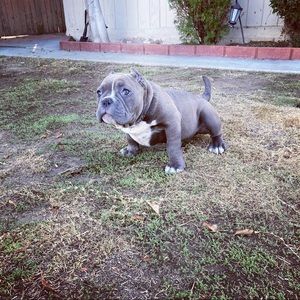 Meet your Posher, Andrew